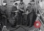 Standbild USA Personal Vereinigtes Königreich, 1944, aus Sekunde 6 historischem Filmmaterial Videoclip 65675075530