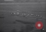 Image of Gallant Fox Louisville Kentucky USA, 1930, second 56 stock footage video 65675075546