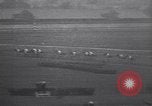 Image of Gallant Fox Louisville Kentucky USA, 1930, second 58 stock footage video 65675075546