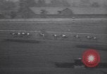 Image of Gallant Fox Louisville Kentucky USA, 1930, second 59 stock footage video 65675075546