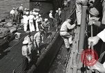 Immagine di USS Trout SS-202 Oahu Hawaii USA, 1942, secondo 39 filmato di repertorio 65675075553