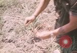 Standbild Montagnards angehören Soldaten Pleiku Süd Vietnam, 1969, aus Sekunde 35 historischem Filmmaterial Videoclip 65675075555