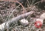Standbild Montagnards angehören Soldaten Pleiku Süd Vietnam, 1969, aus Sekunde 55 historischem Filmmaterial Videoclip 65675075555