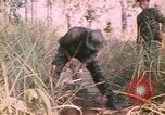 Image of Montagnard soldiers Pleiku South Vietnam, 1969, second 19 stock footage video 65675075556