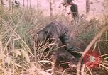 Image of Montagnard soldiers Pleiku South Vietnam, 1969, second 21 stock footage video 65675075556