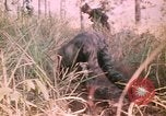 Image of Montagnard soldiers Pleiku South Vietnam, 1969, second 23 stock footage video 65675075556