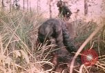 Image of Montagnard soldiers Pleiku South Vietnam, 1969, second 24 stock footage video 65675075556