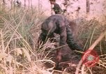 Image of Montagnard soldiers Pleiku South Vietnam, 1969, second 25 stock footage video 65675075556