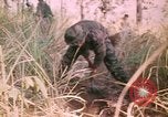 Image of Montagnard soldiers Pleiku South Vietnam, 1969, second 28 stock footage video 65675075556