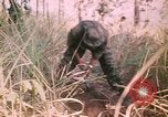Image of Montagnard soldiers Pleiku South Vietnam, 1969, second 30 stock footage video 65675075556