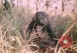 Image of Montagnard soldiers Pleiku South Vietnam, 1969, second 31 stock footage video 65675075556