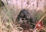 Image of Montagnard soldiers Pleiku South Vietnam, 1969, second 32 stock footage video 65675075556