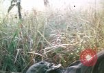 Image of Montagnard soldiers Pleiku South Vietnam, 1969, second 35 stock footage video 65675075556