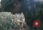Image of Montagnard soldiers Pleiku South Vietnam, 1969, second 40 stock footage video 65675075556