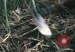 Image of Montagnard soldiers Pleiku South Vietnam, 1969, second 43 stock footage video 65675075556