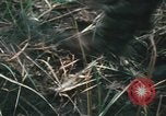 Image of Montagnard soldiers Pleiku South Vietnam, 1969, second 45 stock footage video 65675075556