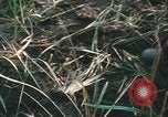 Image of Montagnard soldiers Pleiku South Vietnam, 1969, second 46 stock footage video 65675075556