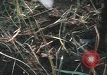 Image of Montagnard soldiers Pleiku South Vietnam, 1969, second 47 stock footage video 65675075556