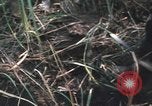 Image of Montagnard soldiers Pleiku South Vietnam, 1969, second 48 stock footage video 65675075556