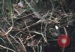 Image of Montagnard soldiers Pleiku South Vietnam, 1969, second 49 stock footage video 65675075556