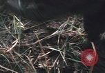 Image of Montagnard soldiers Pleiku South Vietnam, 1969, second 50 stock footage video 65675075556