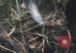 Image of Montagnard soldiers Pleiku South Vietnam, 1969, second 51 stock footage video 65675075556