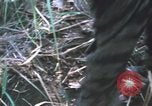Image of Montagnard soldiers Pleiku South Vietnam, 1969, second 52 stock footage video 65675075556