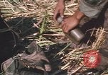 Image of Montagnard soldiers Pleiku South Vietnam, 1969, second 56 stock footage video 65675075556