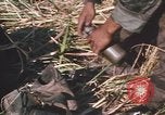 Image of Montagnard soldiers Pleiku South Vietnam, 1969, second 57 stock footage video 65675075556