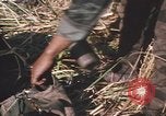 Image of Montagnard soldiers Pleiku South Vietnam, 1969, second 58 stock footage video 65675075556