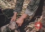 Image of Montagnard soldiers Pleiku South Vietnam, 1969, second 61 stock footage video 65675075556