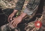 Image of Montagnard soldiers Pleiku South Vietnam, 1969, second 62 stock footage video 65675075556