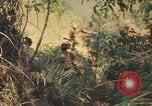 Image Montagnard soldats Pleiku Sud Vietnam, 1969, de la seconde 4 séquences d'archives historiques vidéo 65675075558