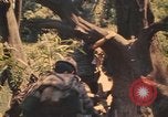 Image Montagnard soldats Pleiku Sud Vietnam, 1969, de la seconde 12 séquences d'archives historiques vidéo 65675075558