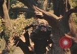 Image Montagnard soldats Pleiku Sud Vietnam, 1969, de la seconde 16 séquences d'archives historiques vidéo 65675075558