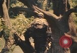 Image Montagnard soldats Pleiku Sud Vietnam, 1969, de la seconde 17 séquences d'archives historiques vidéo 65675075558