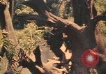 Image Montagnard soldats Pleiku Sud Vietnam, 1969, de la seconde 26 séquences d'archives historiques vidéo 65675075558