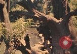 Image Montagnard soldats Pleiku Sud Vietnam, 1969, de la seconde 27 séquences d'archives historiques vidéo 65675075558