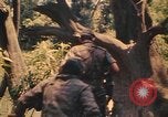 Image Montagnard soldats Pleiku Sud Vietnam, 1969, de la seconde 34 séquences d'archives historiques vidéo 65675075558