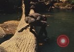 Image Montagnard soldats Pleiku Sud Vietnam, 1969, de la seconde 39 séquences d'archives historiques vidéo 65675075558
