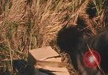 Image of Montagnard soldiers Pleiku South Vietnam, 1969, second 44 stock footage video 65675075560
