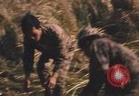 Image of Montagnard soldiers Pleiku South Vietnam, 1969, second 59 stock footage video 65675075560