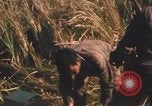 Image of Montagnard soldiers Pleiku South Vietnam, 1969, second 60 stock footage video 65675075560