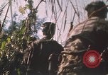 Image of Australian soldiers Ban Me Thout South Vietnam, 1969, second 21 stock footage video 65675075561