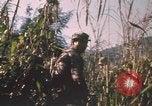 Image of Australian soldiers Ban Me Thout South Vietnam, 1969, second 26 stock footage video 65675075561