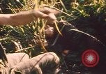 Image of Australian soldiers Ban Me Thout South Vietnam, 1969, second 39 stock footage video 65675075561