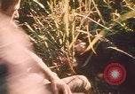 Image of Australian soldiers Ban Me Thout South Vietnam, 1969, second 41 stock footage video 65675075561