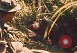Image of Australian soldiers Ban Me Thout South Vietnam, 1969, second 47 stock footage video 65675075561