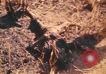 Image of United States soldiers Pleiku South Vietnam, 1969, second 51 stock footage video 65675075562
