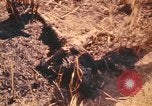 Image of United States soldiers Pleiku South Vietnam, 1969, second 52 stock footage video 65675075562